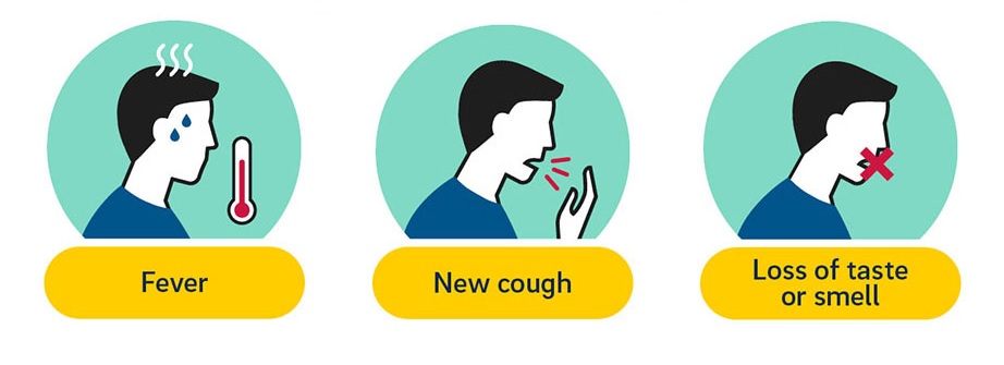Fever - Cough - Loss of taste or smell