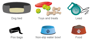 Pets at items