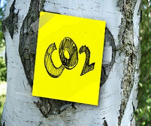 Co2 Sticker on Tree
