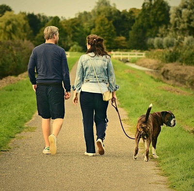 Dog walking couple in woodland area