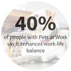 Pets at Work Life Balance