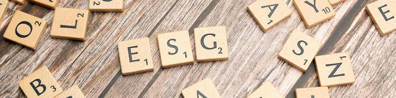 Image of Scrabble tiles spelling ESG