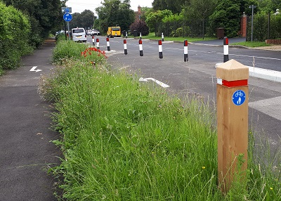 Cycle Lane in Kent utilising the Vergemaster RX Marker Post as a physical barrier