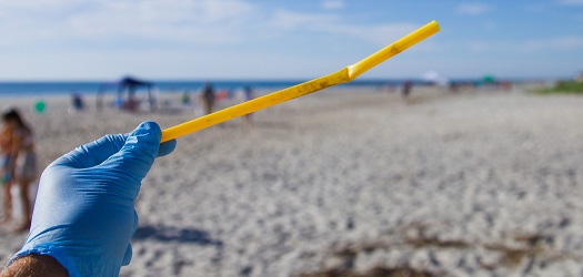 Plastic Straw on a beach