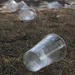 Disposable plastic cups and glasses