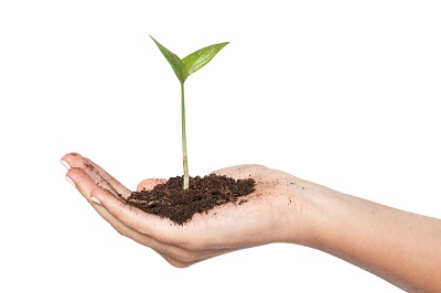 Hand with compost