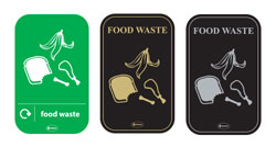 What is this? Body Graphic (246mm x 396mm)